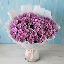 Букет цветов из:  Хризантемы #REPLACE_PRED# Воткинске